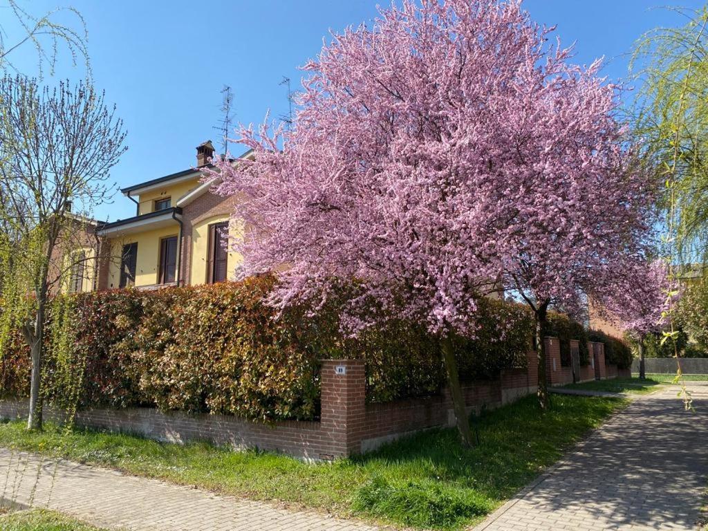 Suite Travel Home Modena Exterior foto